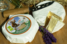 dtkaesepreis_schwalbenhof